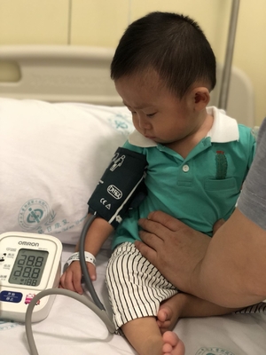 Uyumlu Welch Allyn Connex Spot, Spot Vital Signs lXi NIBP Hortum hasta kablosu üreticisi